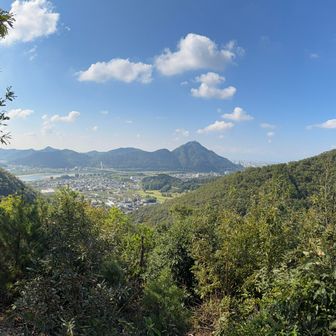 鵜飼大橋と金華山