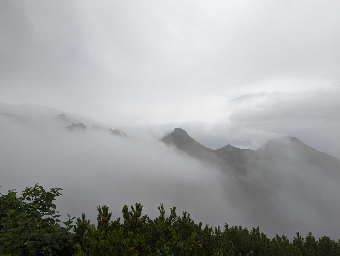 桜平-夏沢峠-硫黄岳 周回コースの写真