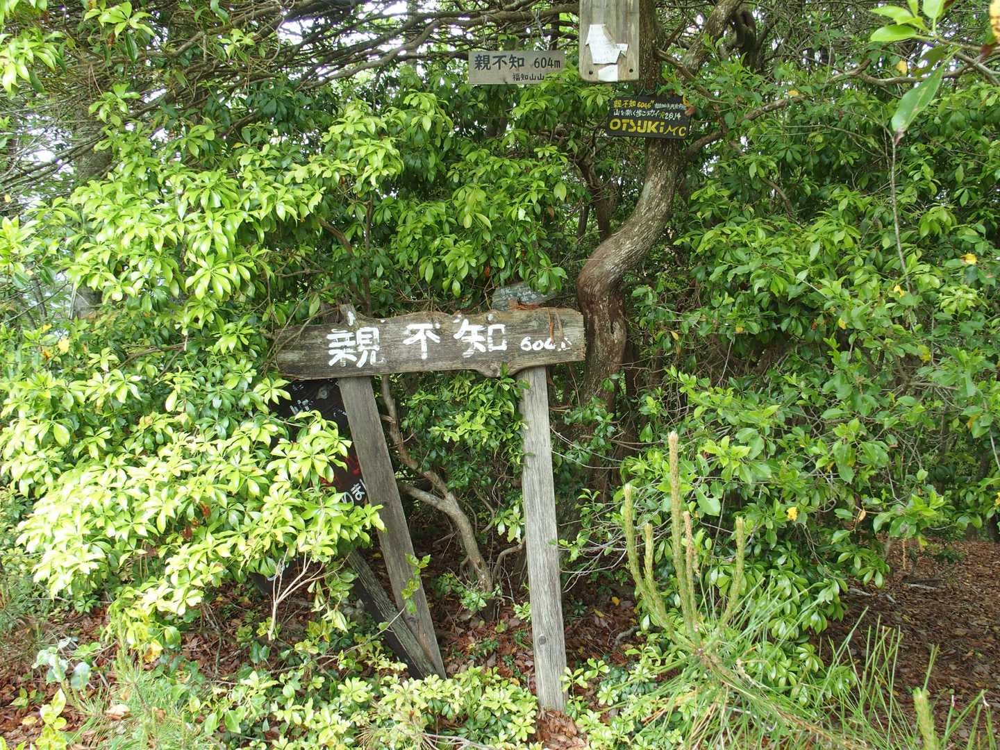 親不知 周回コースの写真