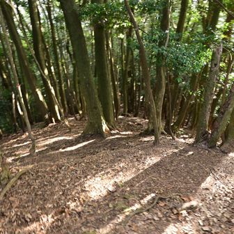 先に進みます。