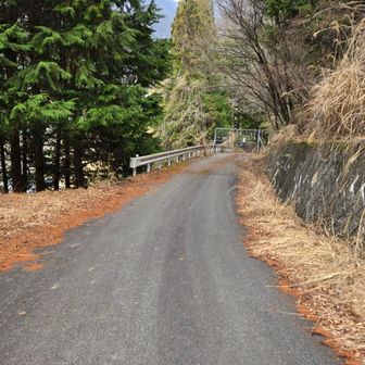 駐車場へ向かう
