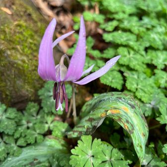アングル変えて🤤