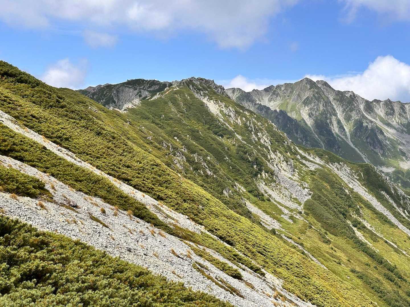🤗で……何と無く天気予報が外れた様な感じ⁉️