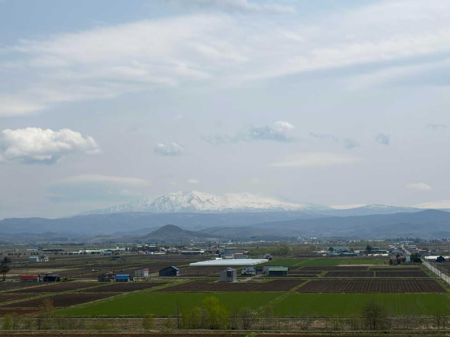 カタクリ広場登山口-突哨山-村上山公園口-村上山-扇の沢口 周回コースの写真