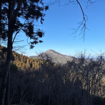 展望台より尼ヶ岳を望む