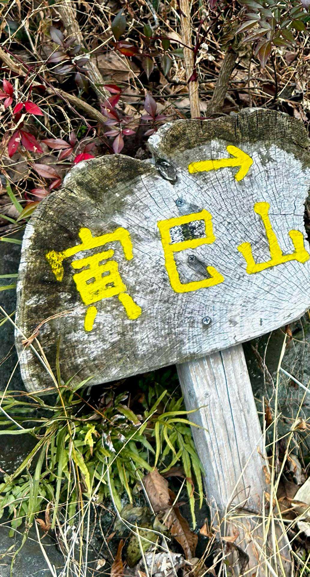 民家脇の道路を
テクテクと
登山口発見💡