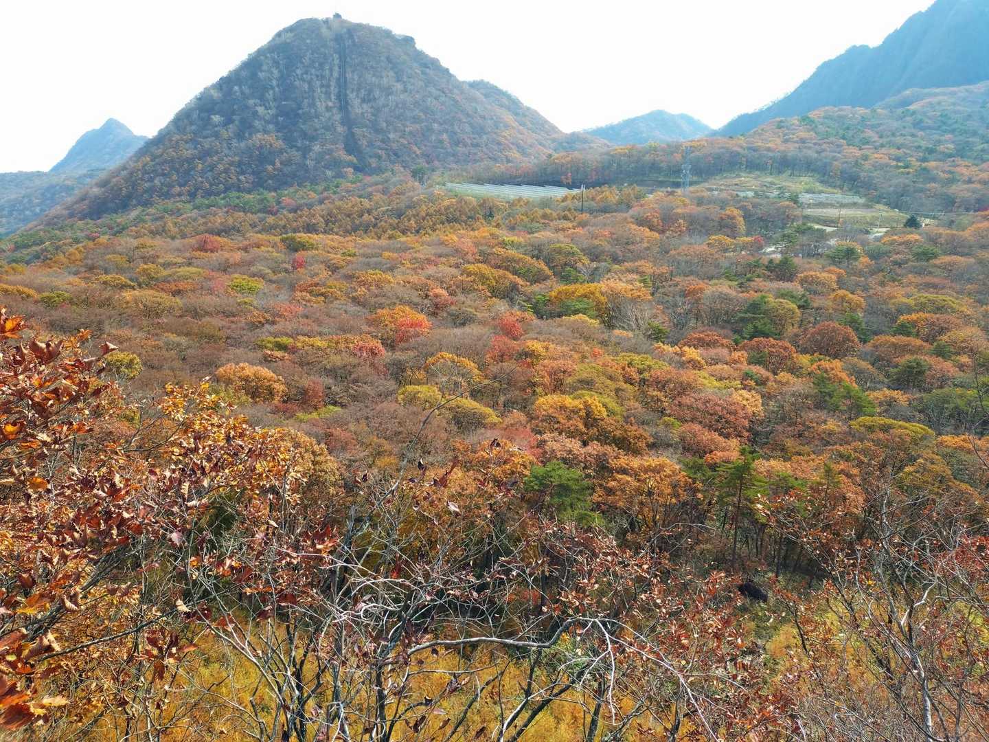 臥牛山 往復コースの写真