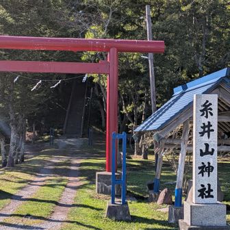 真っ赤っ赤な鳥居。横の四阿が手水鉢かと思ったらただのでかい石でした。