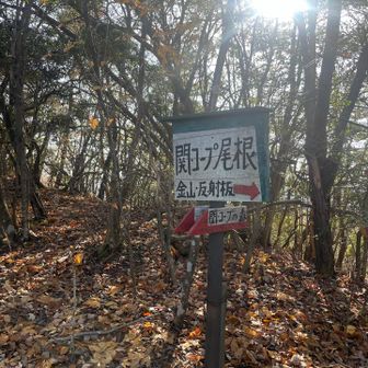 コープってあのコープで？