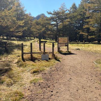 草滑りとの分岐を越えて
