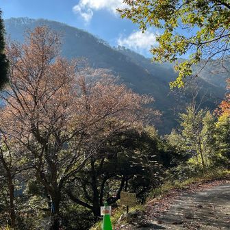 この後、
ショートコース選手の応援に来られた方がみえ、途中まで一緒に選手達へ声援を送りました📣

全選手、
一人一人のお顔を見て応援しました。
笑顔で返してくれる選手の方ばかりで
わたしも元気を貰えました💪

選手の中にフォロワーさんを見つけ、
『あ、フォロワーさんだ』
とつい声が出てしまい、、、
丁寧なお辞儀をしていただき、足止めさせてしまいました。ごめんなさい🙏