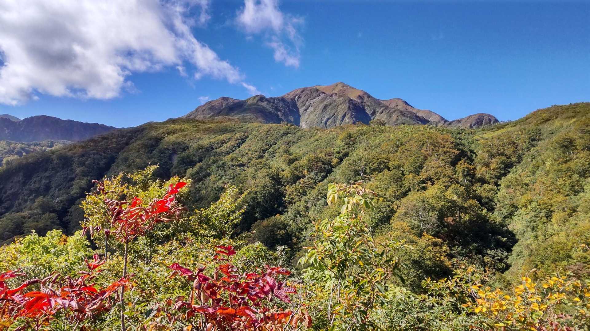 越後駒ケ岳山頂からあとの状況は他の方のレポをご参照ください。
この写真は小倉山からちょっと下ったところで撮りました。開けていて眺望よし！！！
このあとも名残惜しくて振り返りつつ自分にしては写真撮りまくりました。