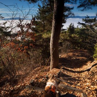 米山城址へ移動