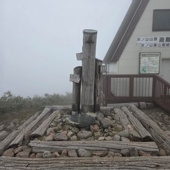 霧で真っ白