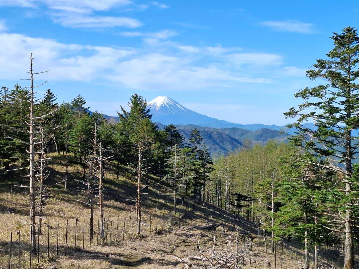 振り返えると富士山🗻ここまでで既に満足😆