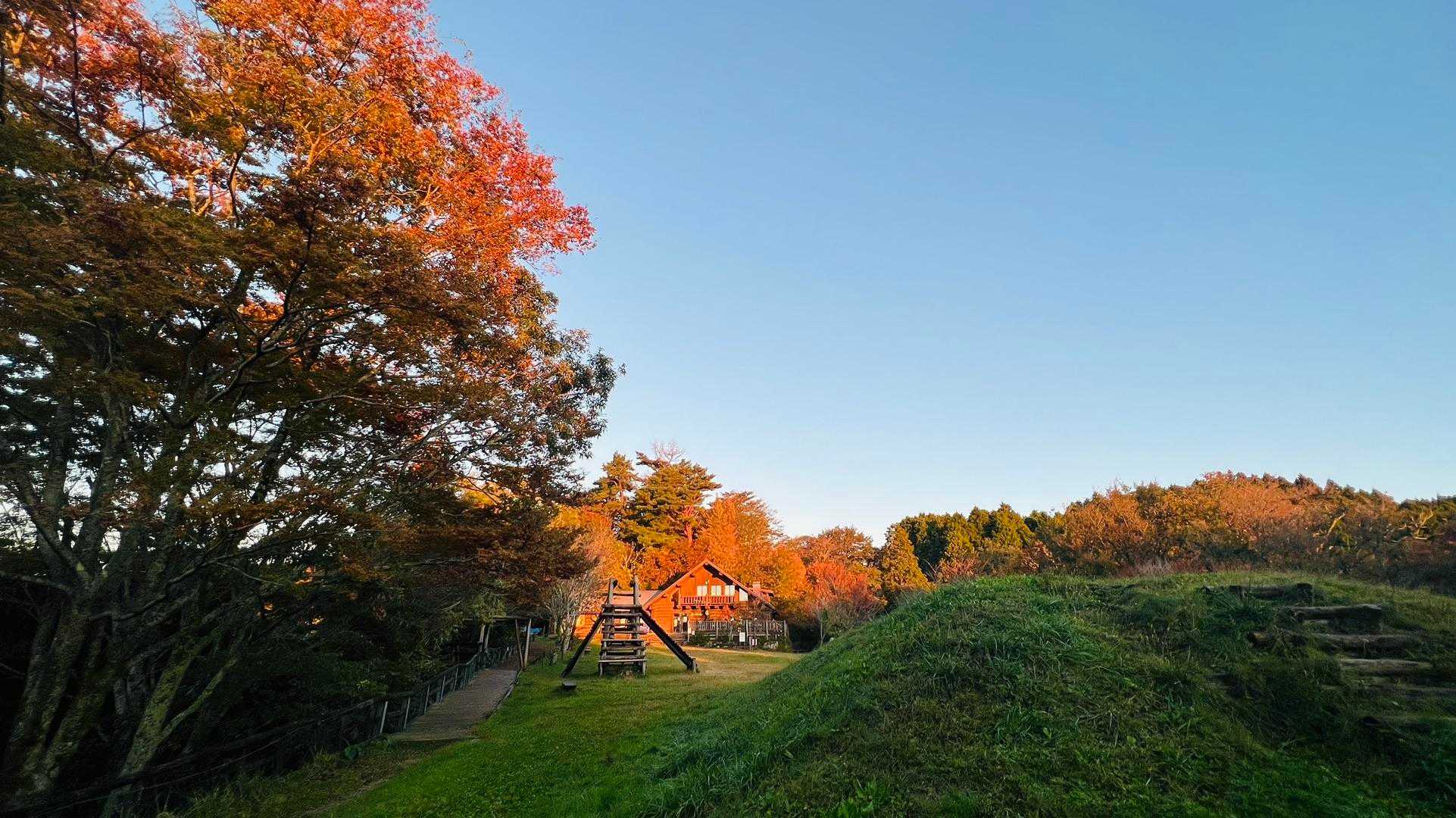 百ヶ辻登山口-伏見峠-久留野峠-中葛城山-高谷山-千早峠- 縦走コースの写真