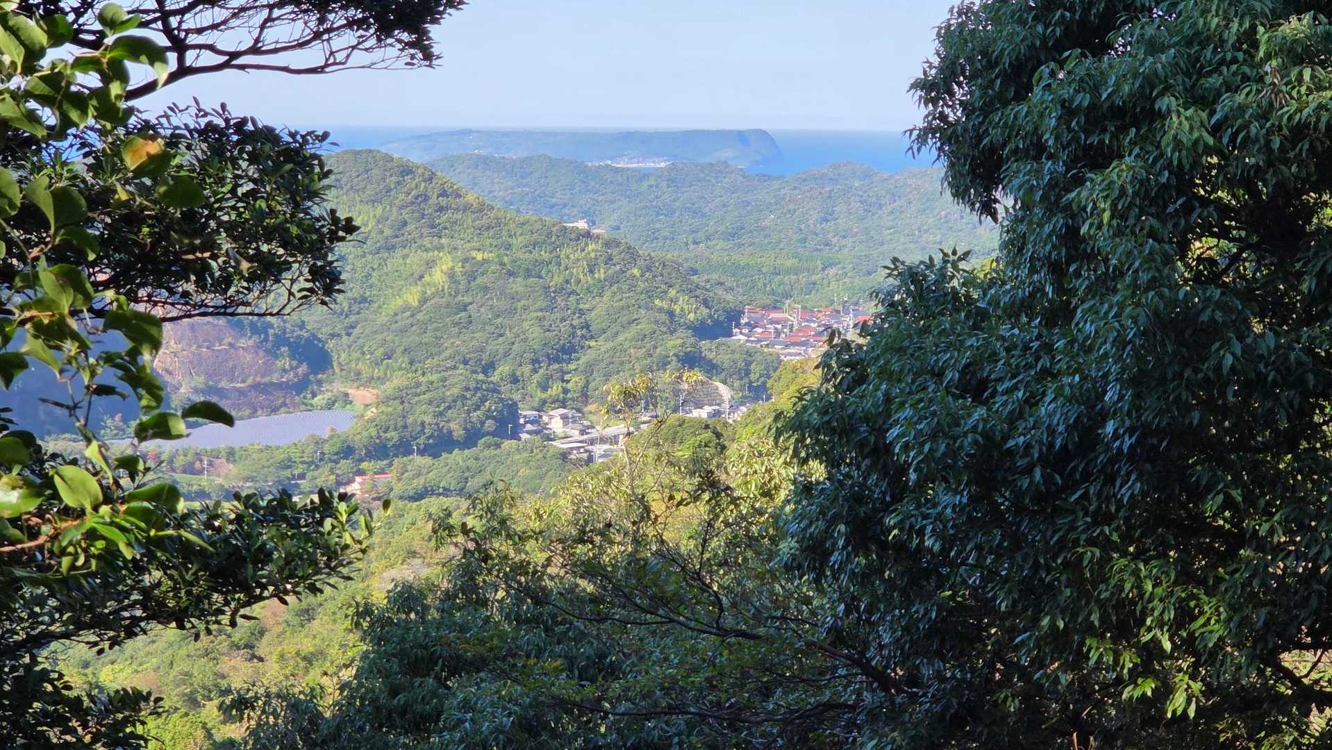 田床山 往復コースの写真