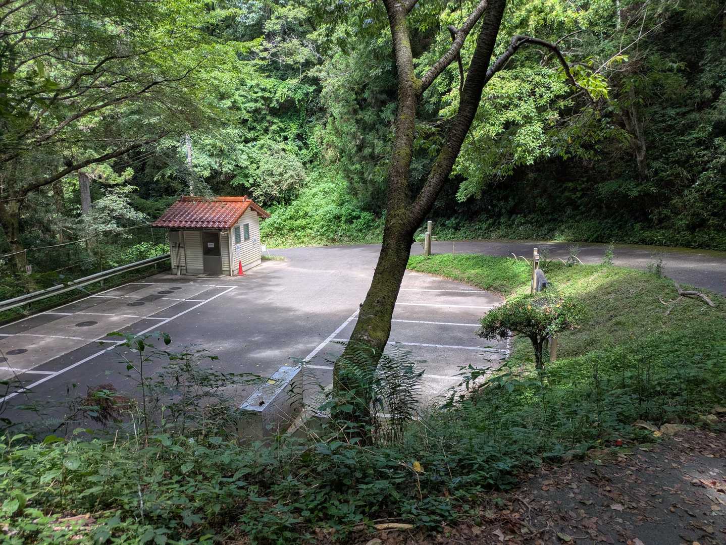 嵩山のみの登山ならアクセスはここ鳥打峠駐車場。しかし本日車はゼロ、こんな暑い日に登るのは誰もいないということですね。