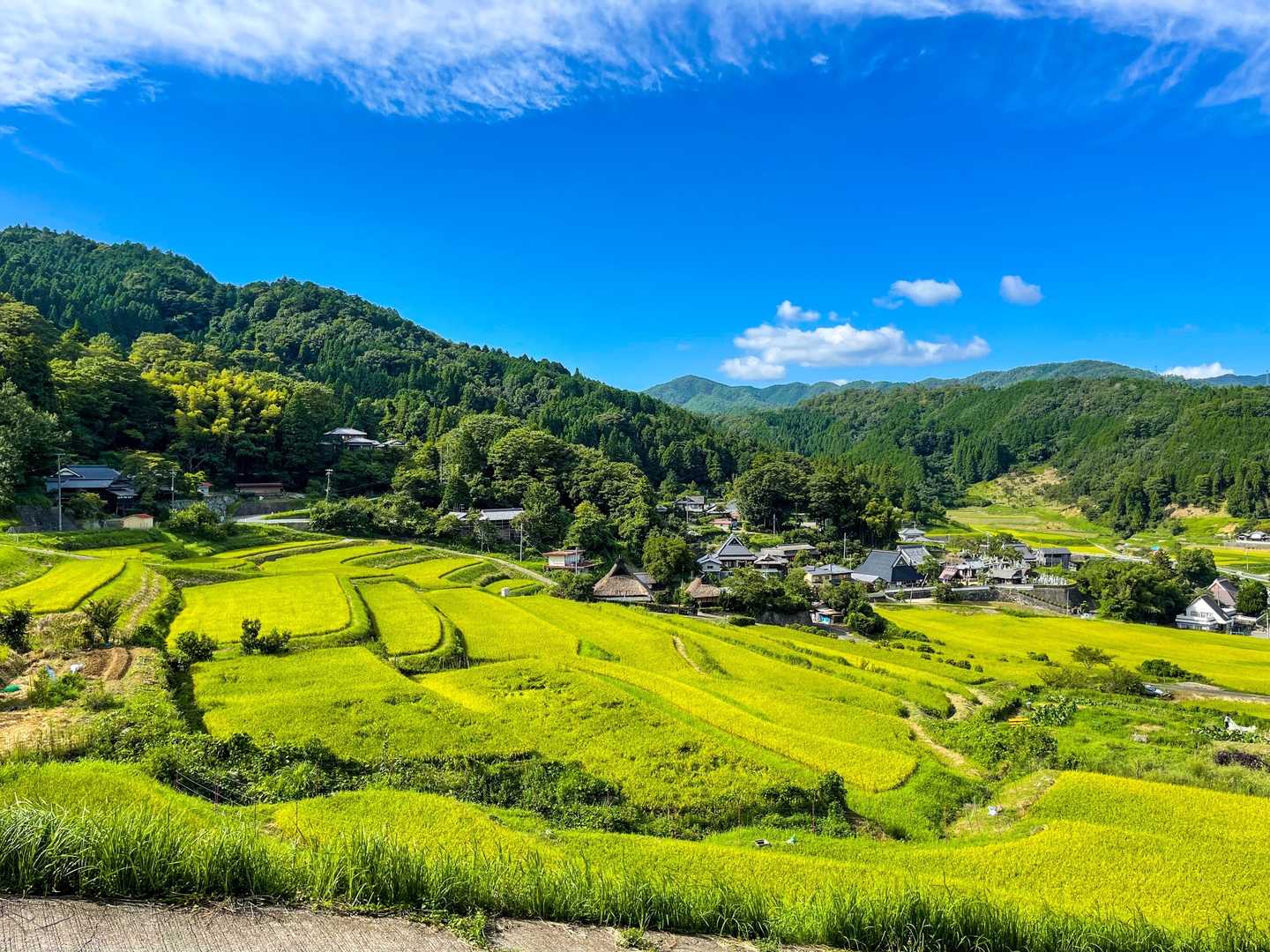 ゼフィルスの森入口-三草山-才ノ神峠-滝王山 周回コースの写真