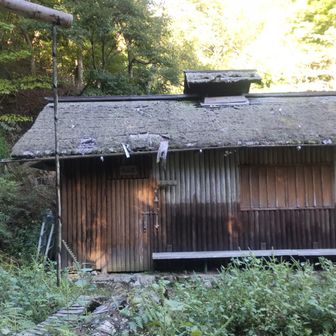 作業後①（小屋正面：入口のある面）