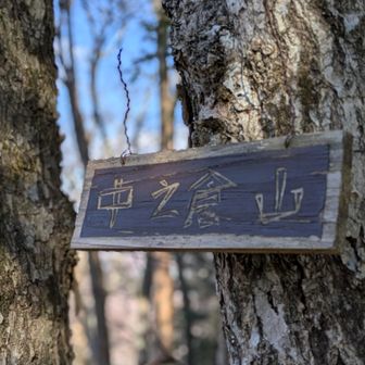 中の倉山🫡眺望なし