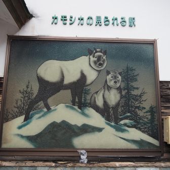 カモシカも、猿もイノシシも熊も出ます