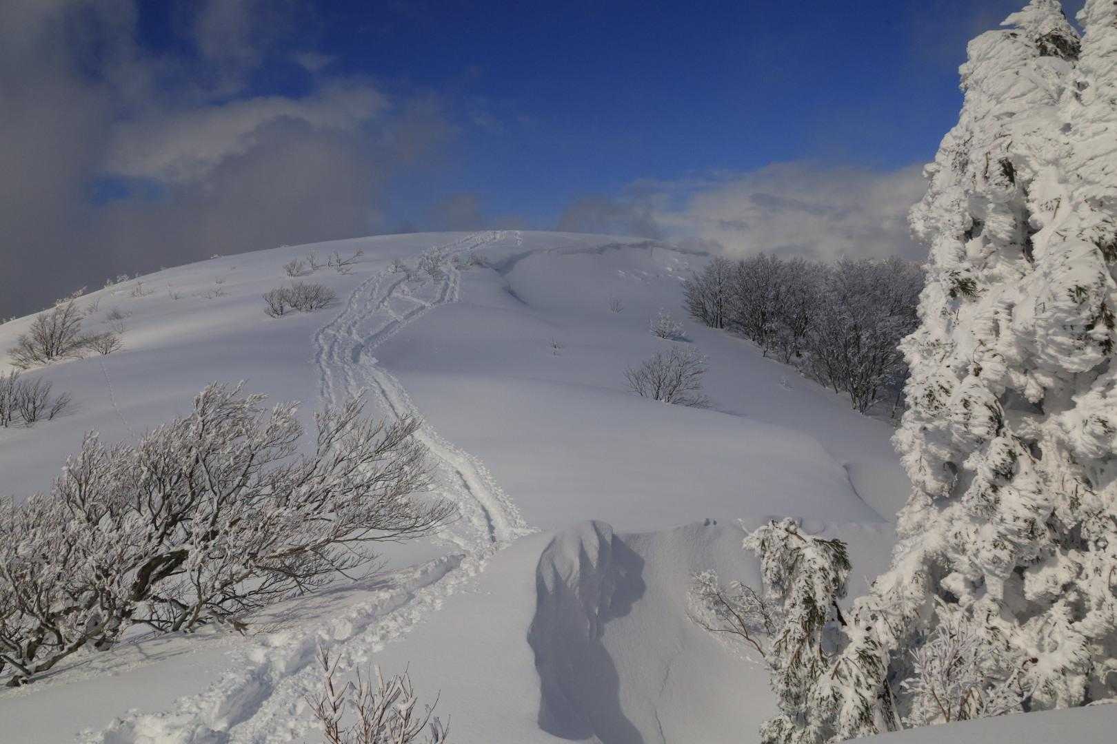 前山-白兀山-蛇尾山-夕霧峠 周回コースの写真