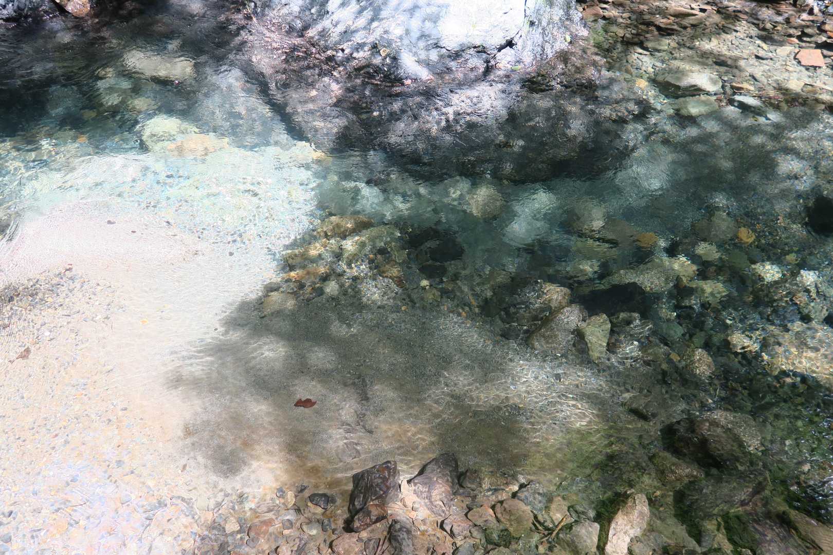 大千軒岳 往復コースの写真