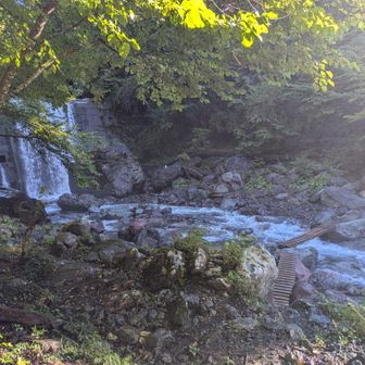 上流の仮橋を渡ります。