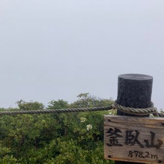 展望なし