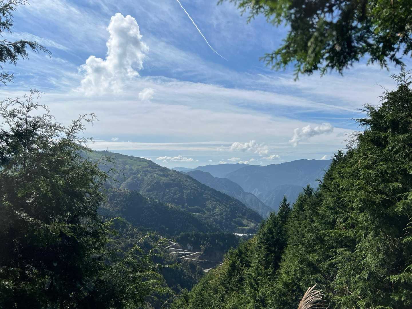 野地峰 往復コースの写真