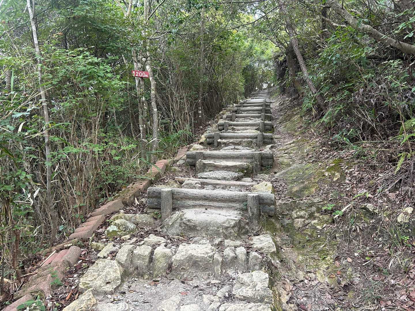 ここまで来たら、あと一踏ん張り。