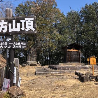 大山祇神社奥の宮
ここも山林火災の被害を受けたのでしょうか？
四等三角点「大坊山」があります。