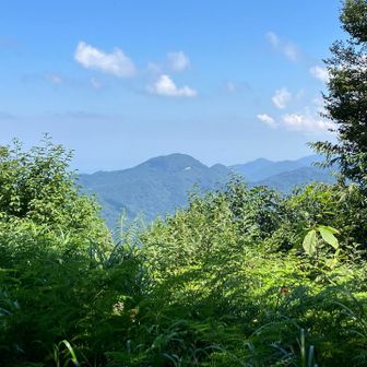 山頂からこんな感じ北側