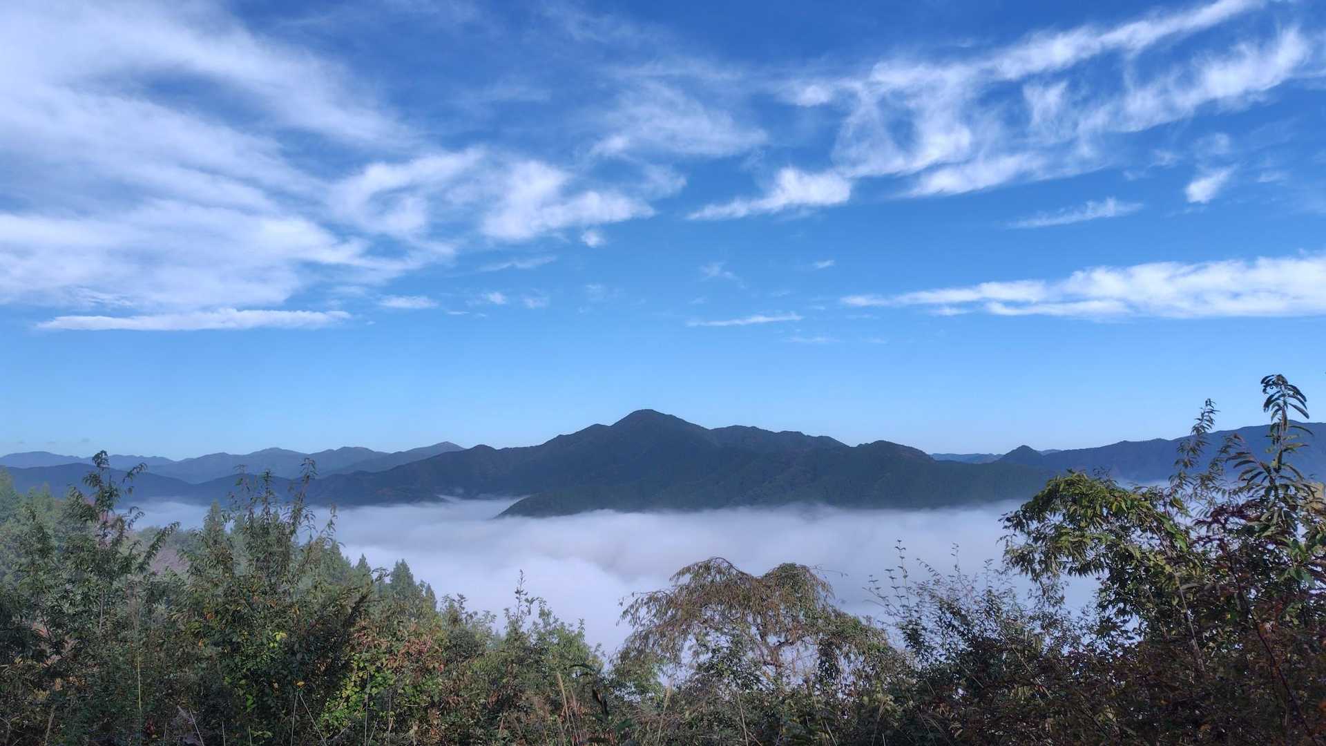 雲海〜✨️
目の前にあるのは御前山▲