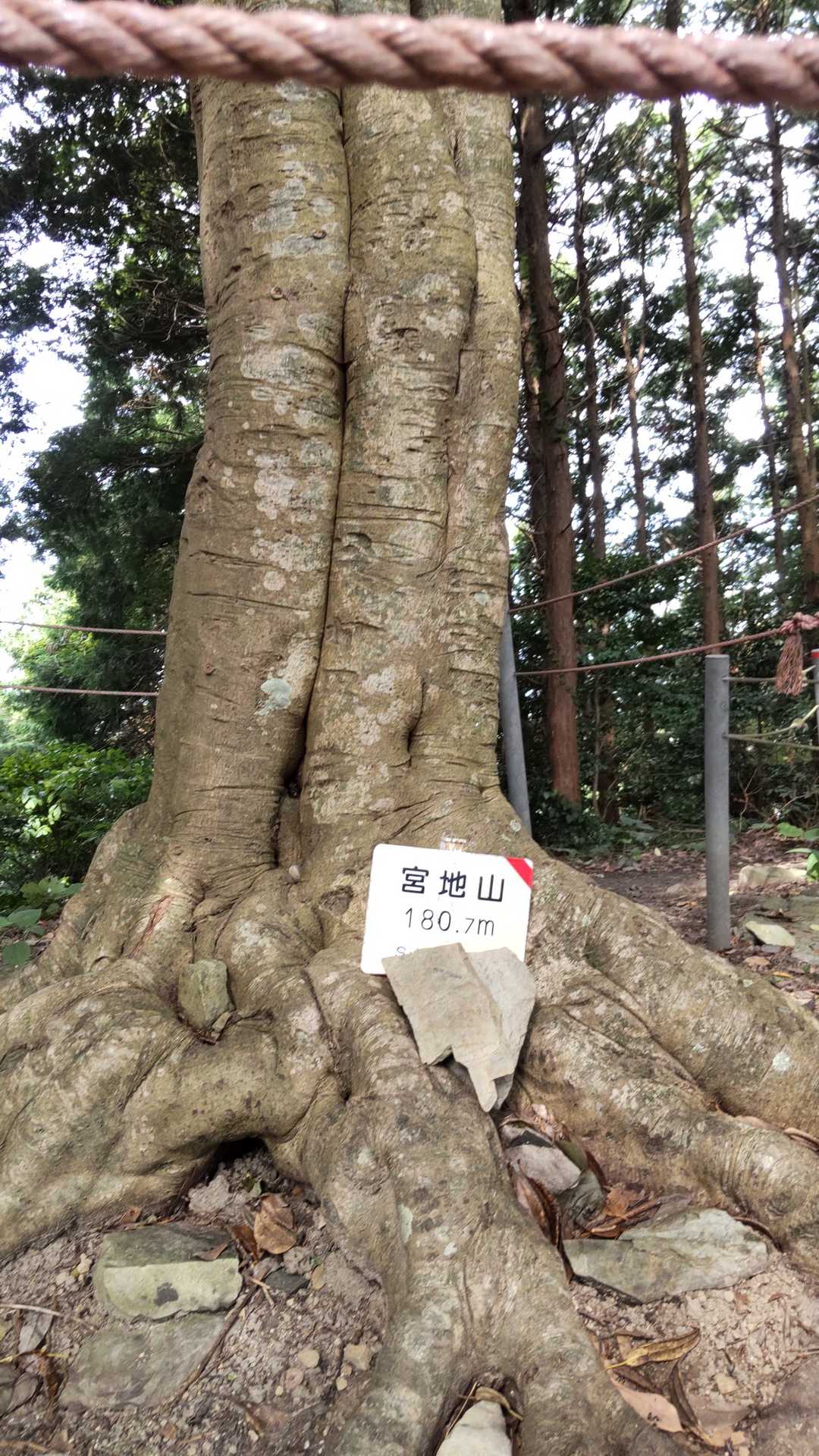 宮地嶽神社-宮地山-在自山-水落山-対馬見山-冨士白玉神社 縦走コースの写真
