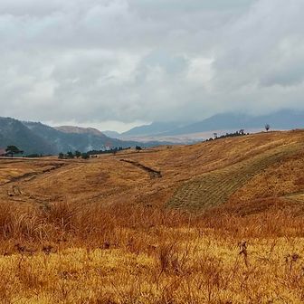 東側　由布岳⛰️は、雲の中。
