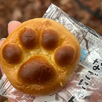 こんなかわいい🩷なごにゃん、よねっちさんに頂きました😋