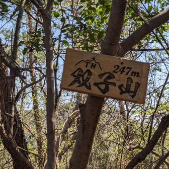 途中二座目…双子山(247m)を通過して！