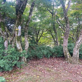 孫太夫山の山頂はこんな感じ