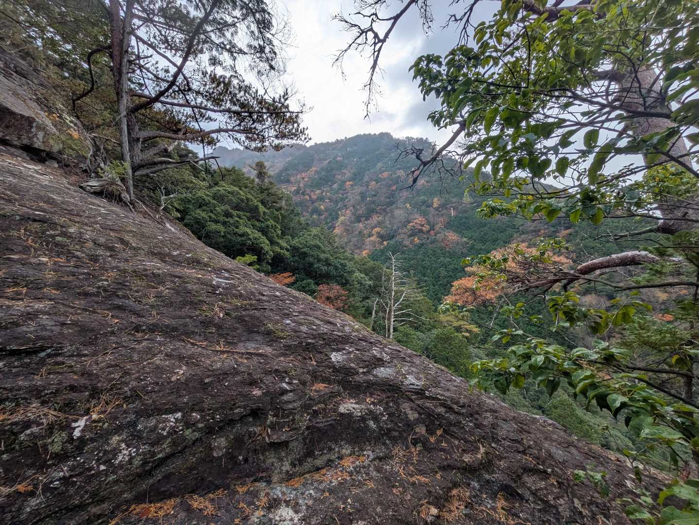 明神山 周回コースの写真