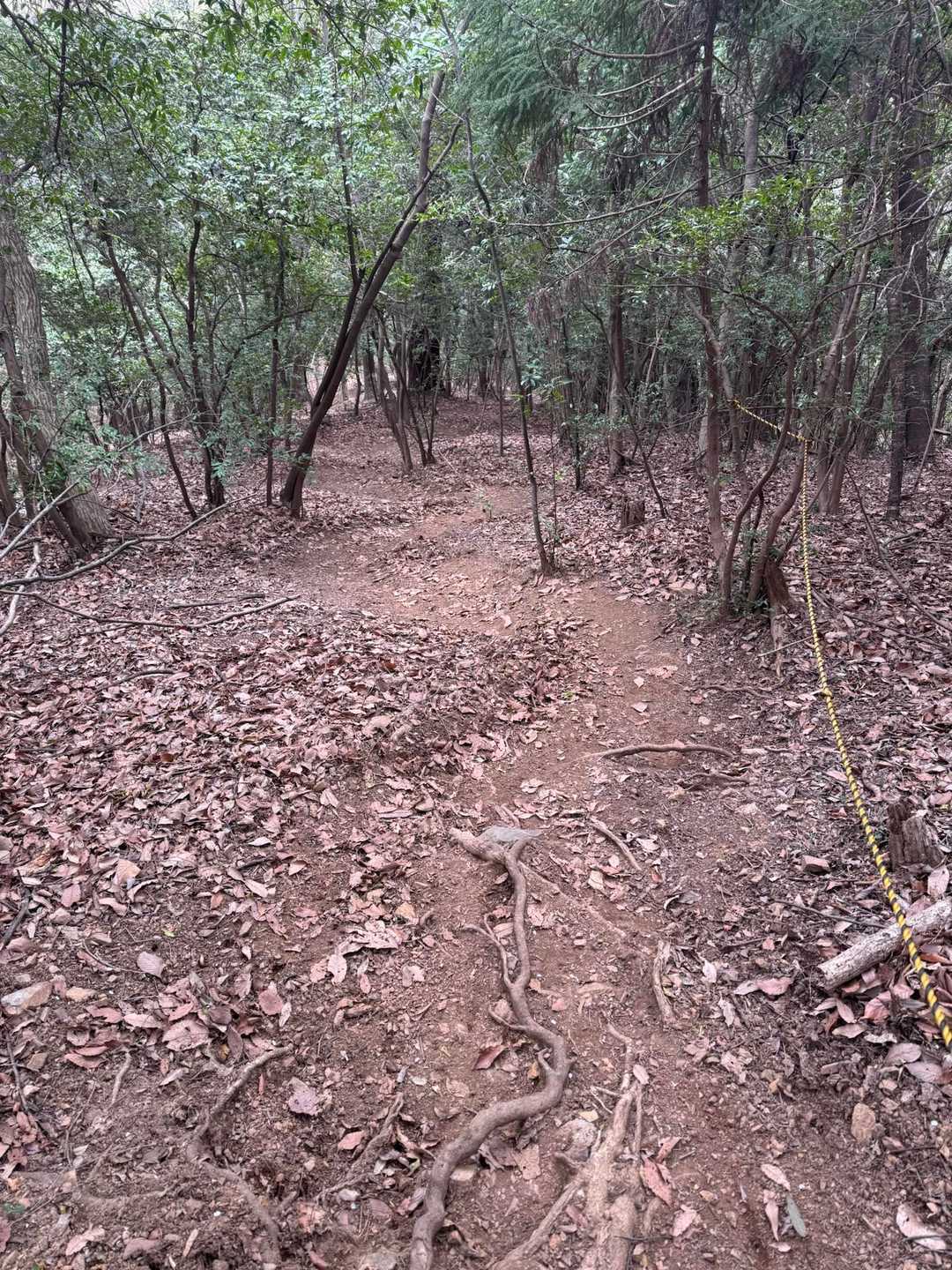 結構激降り