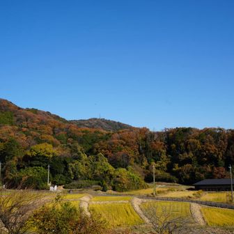 里山風景良いね👍