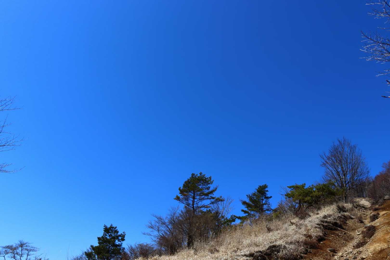真上の青空は濃かったです。