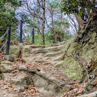 ここも鎌倉っぽい階段