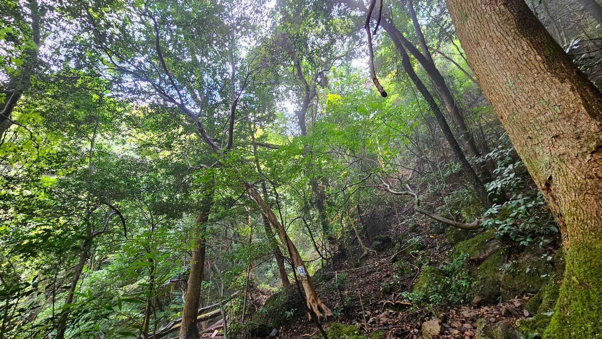 雨上がりで湿気がヤバい💦

