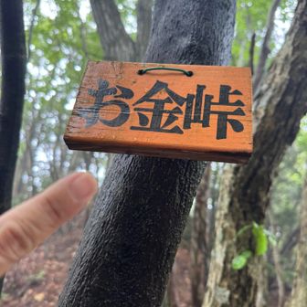 峠が多いです
お金峠
ゼーゼー