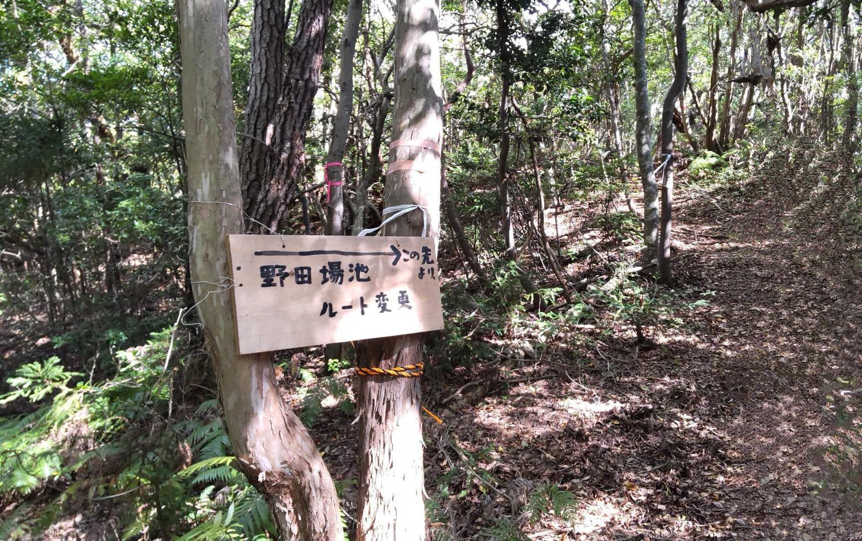 行けませんでした…
