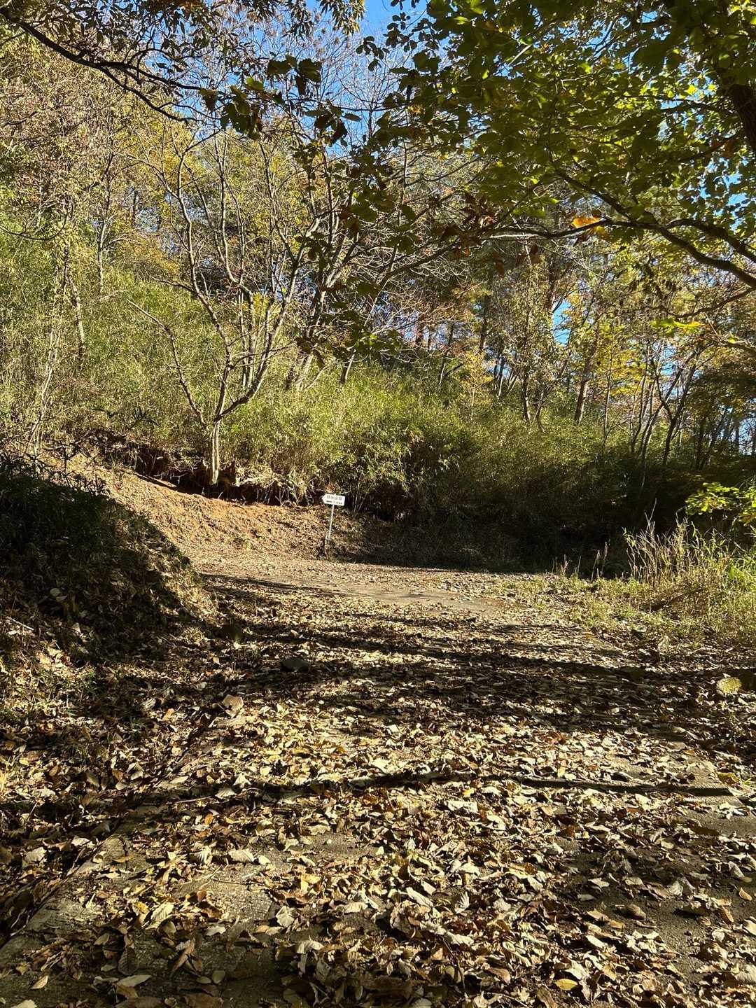 月出山岳登山口-月出山岳 往復コースの写真