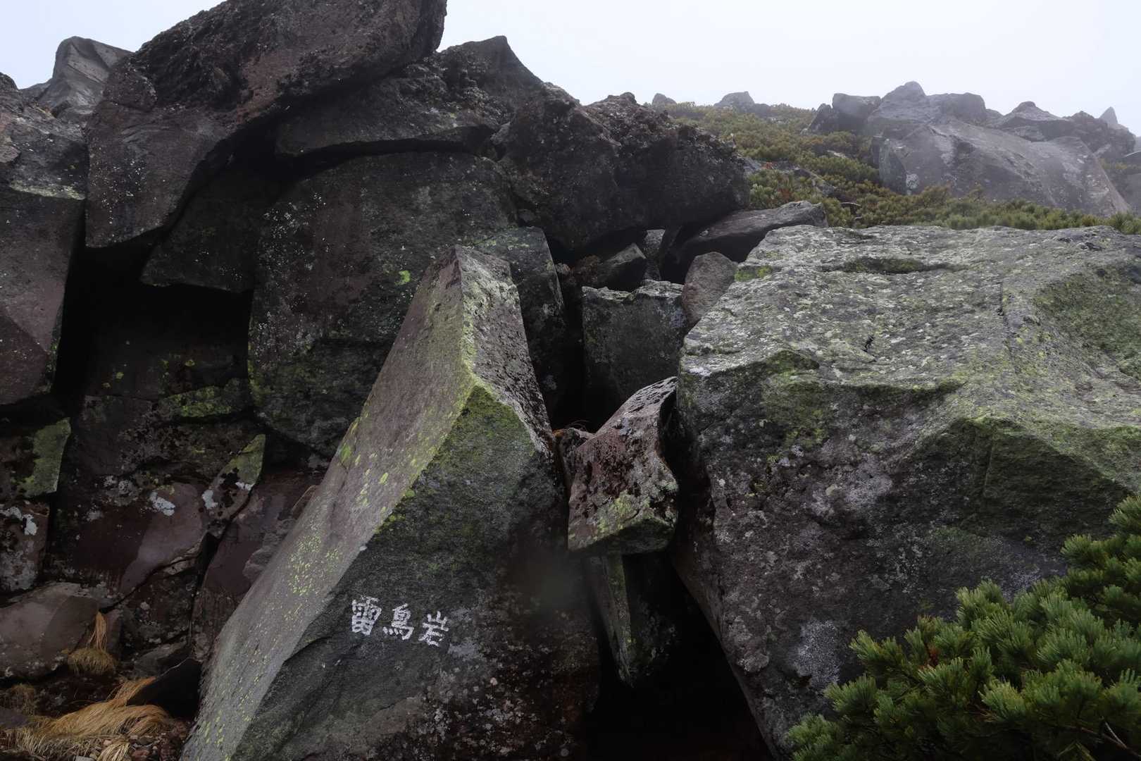 雷鳥岩🪨
登ってる時に、
雷鳥岩の上を雷鳥がすごい勢いで
飛んで通り過ぎて行ったのを見て
「雷鳥、飛ぶんだー😳」
って、驚いた。